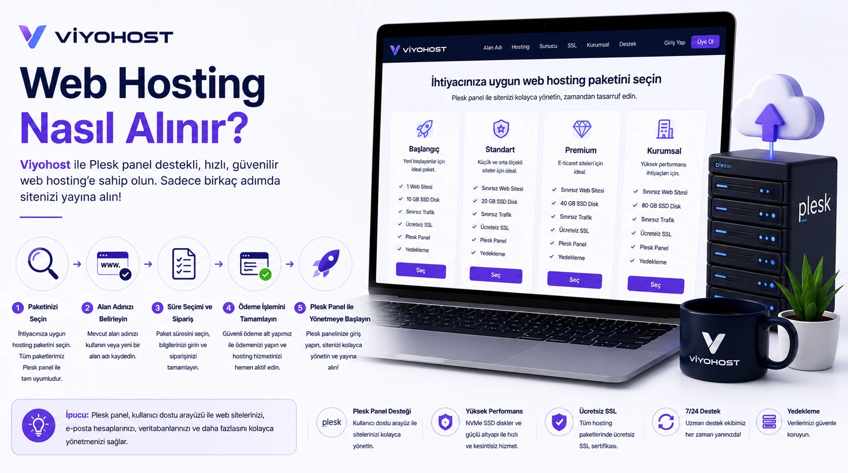 Web Hosting Nasıl Alınır?