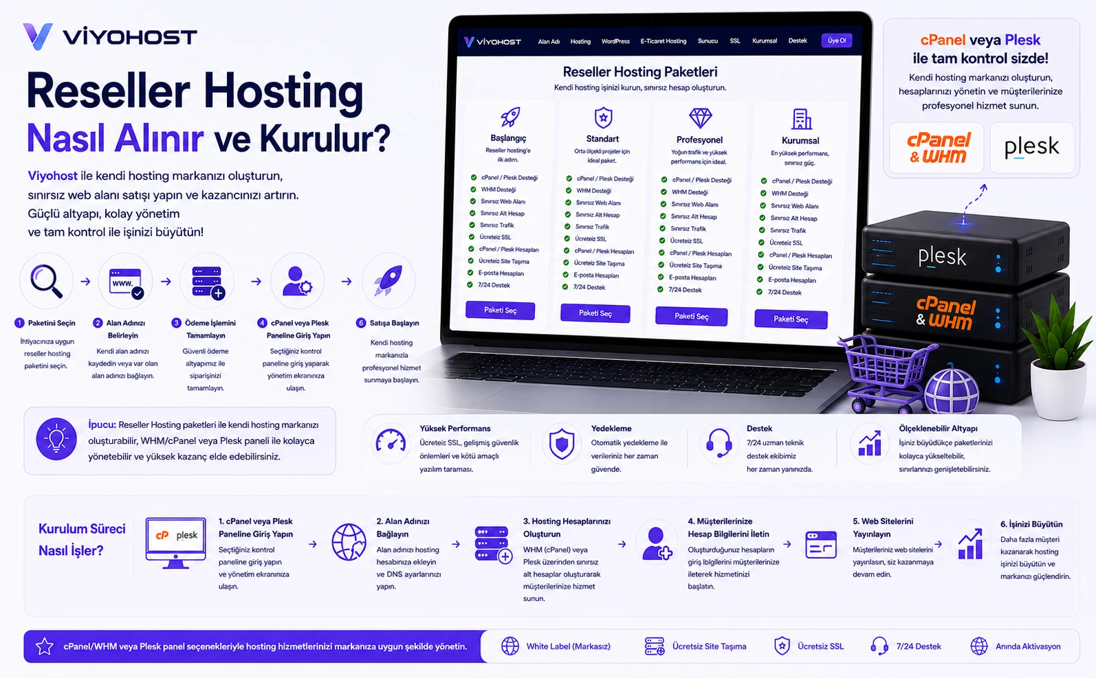 Reseller Hosting Nasıl Alınır ve Kurulur?